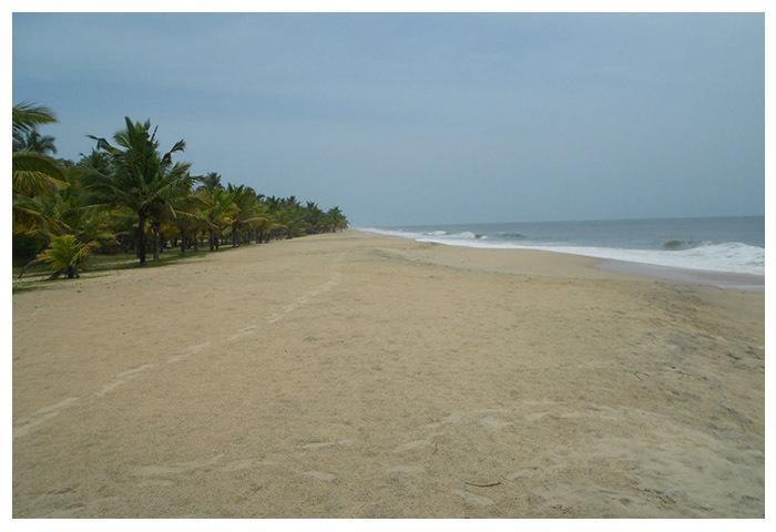 Marari Beach Paradise Mararikulam Eksteriør bilde